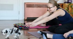 Cachorros toman una pose en el estudio de yoga Chippawa